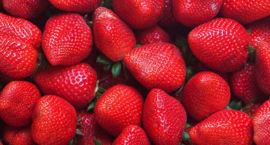 Un voyage à travers l'histoire des fraises