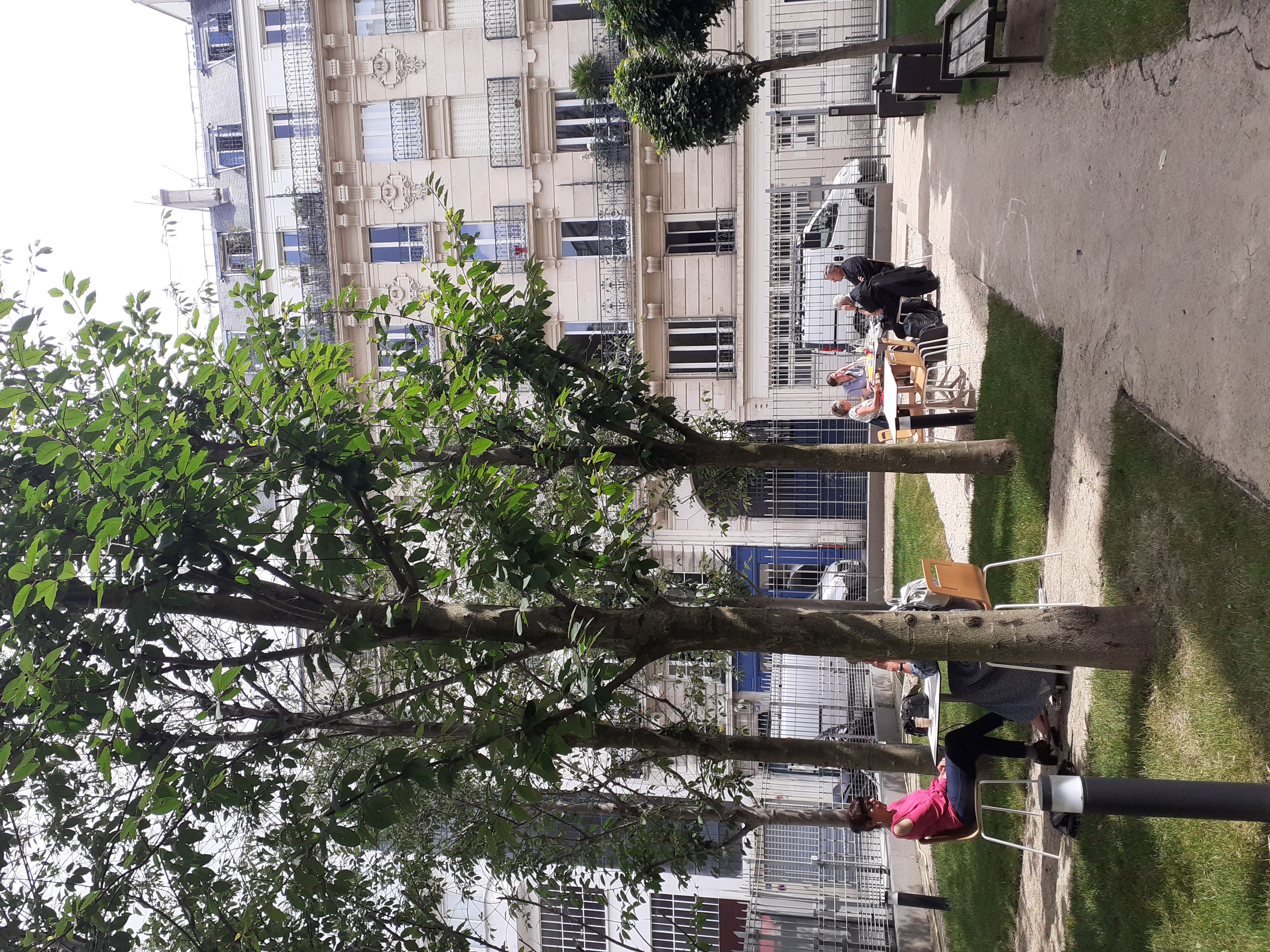 terrasse à Paris, collège des Bernardins, déjeuner au soleil