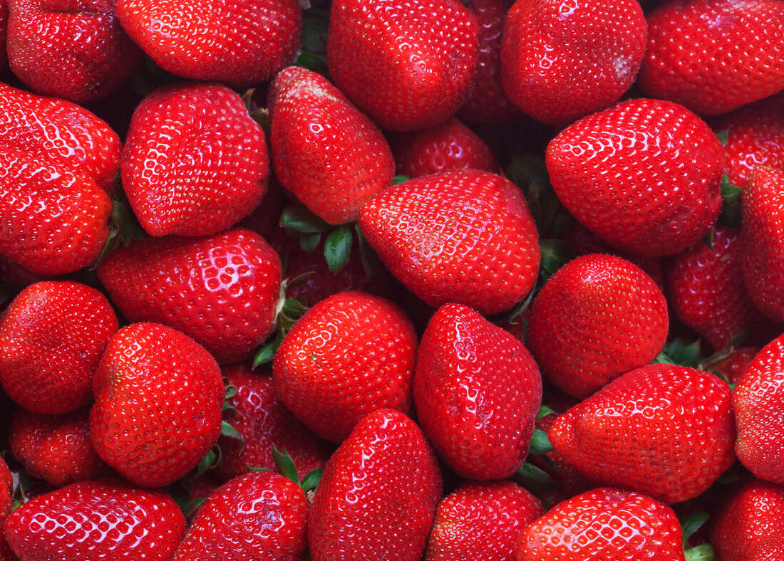 fraises_table_de_cana