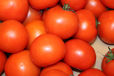 tomates site 1485798382